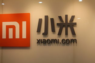 路飯網(wǎng)播報 小米特色功能引關注，Google AdSense廣告業(yè)務意外受干擾