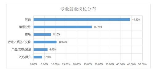 2019年廣告策劃與營銷專業(yè) 洞察數(shù)字時代的品牌傳播新機遇